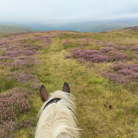 Hotel Pentre Riding Stables à Abercraf Extérieur photo