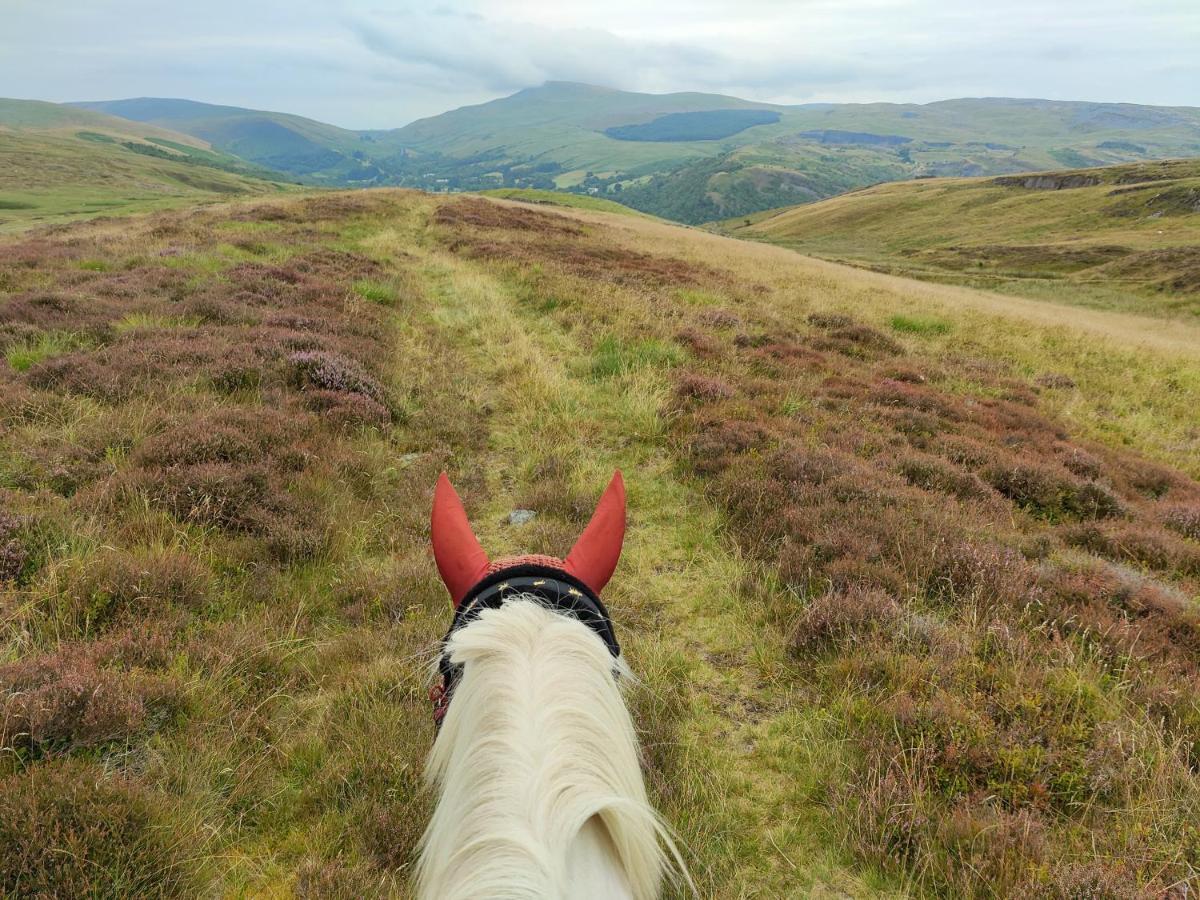 Hotel Pentre Riding Stables à Abercraf Extérieur photo